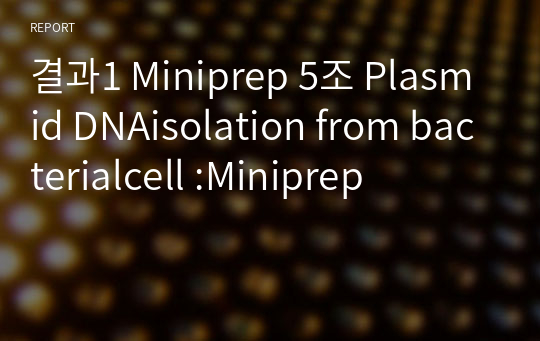 결과1 Miniprep 5조 Plasmid DNAisolation from bacterialcell :Miniprep
