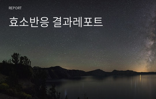 효소반응 결과레포트