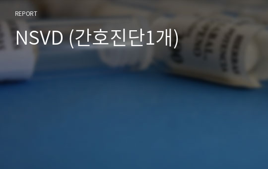 NSVD (간호진단1개)