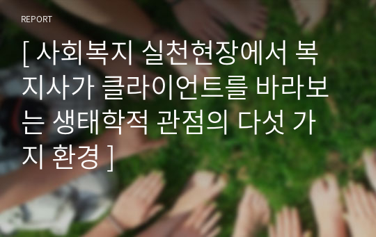 [ 사회복지 실천현장에서 복지사가 클라이언트를 바라보는 생태학적 관점의 다섯 가지 환경 ]