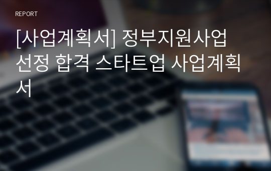 [사업계획서] 정부지원사업 선정 합격 스타트업 사업계획서