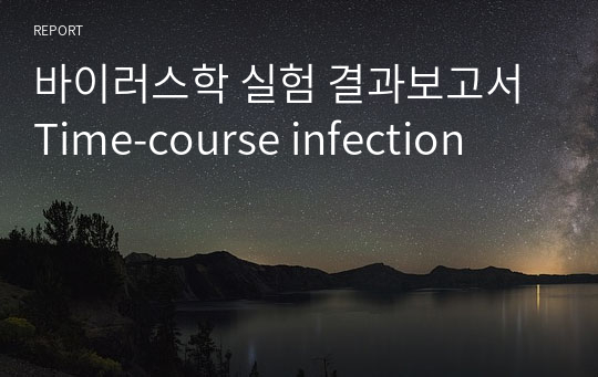 바이러스학 실험 결과보고서 Time-course infection