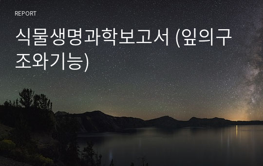 식물생명과학보고서 (잎의구조와기능)