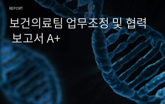 보건의료팀 업무조정 및 협력 보고서 A+