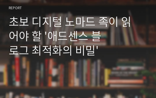 초보 디지털 노마드 족이 읽어야 할 &#039;애드센스 블로그 최적화의 비밀&#039;