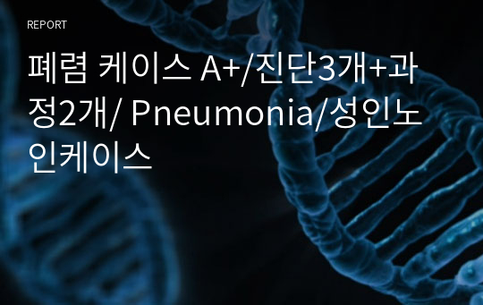 폐렴 케이스 A+/진단3개+과정2개/ Pneumonia/성인노인케이스