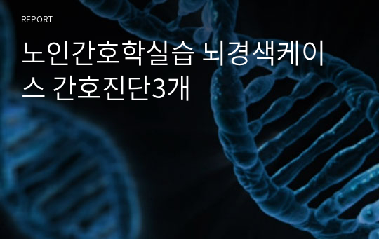 노인간호학실습 뇌경색케이스 간호진단3개