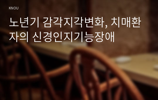 노년기 감각지각변화, 치매환자의 신경인지기능장애