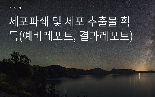 세포파쇄 및 세포 추출물 획득(예비레포트, 결과레포트)