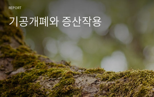 기공개폐와 증산작용