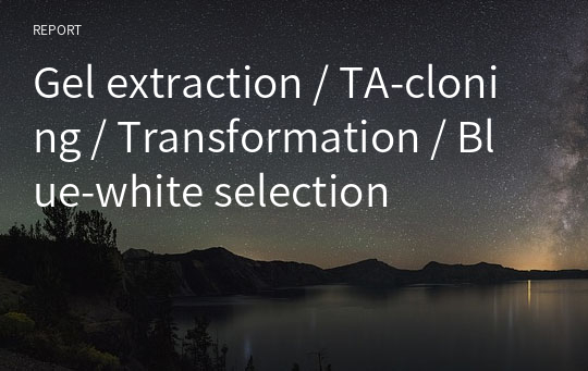 Gel extraction / TA-cloning / Transformation / Blue-white selection