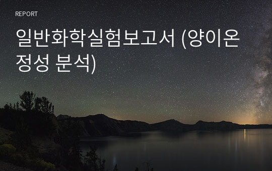 일반화학실험보고서 (양이온 정성 분석)