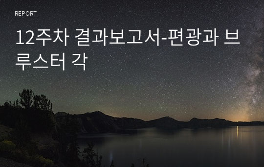 12주차 결과보고서-편광과 브루스터 각