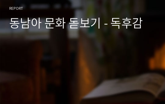 동남아 문화 돋보기 - 독후감