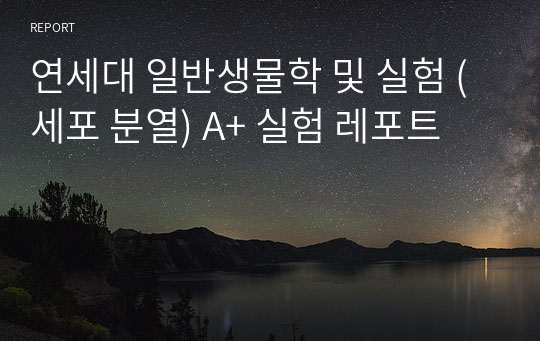 연세대 일반생물학 및 실험 (세포 분열) A+ 실험 레포트