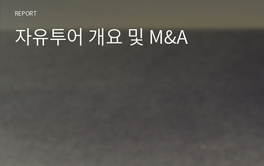 자유투어 개요 및 M&amp;A