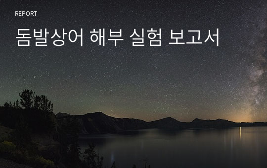 돔발상어 해부 실험 보고서