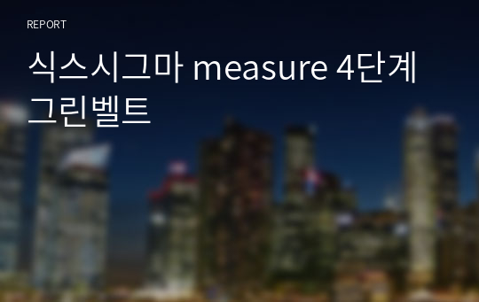 식스시그마 measure 4단계 그린벨트