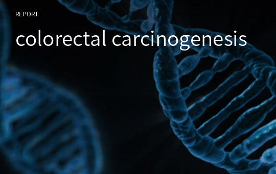 colorectal carcinogenesis
