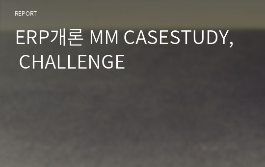 ERP개론 MM CASESTUDY, CHALLENGE