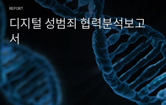 디지털 성범죄 협력분석보고서