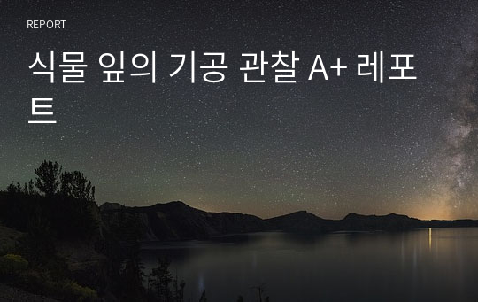 식물 잎의 기공 관찰 A+ 레포트