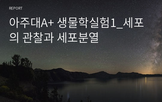 아주대A+ 생물학실험1_세포의 관찰과 세포분열