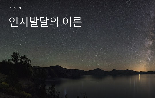 인지발달의 이론