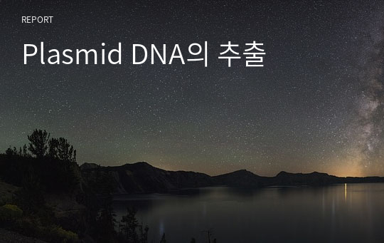 Plasmid DNA의 추출