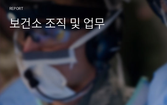 보건소 조직 및 업무