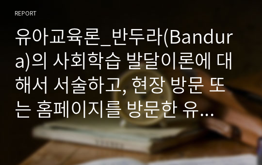 유아교육론_반두라(Bandura)의 사회학습 발달이론에 대해서 서술하고, 현장 방문 또는 홈페이지를 방문한 유아교육기관(유치원 및 어린이집)에 대하여 보고 느낀 점을 서술하시오.