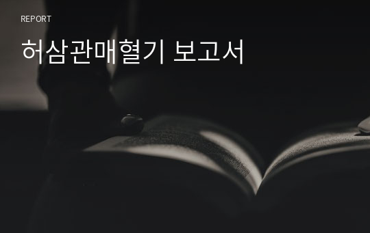 허삼관매혈기 보고서