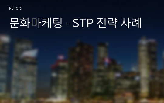 문화마케팅 - STP 전략 사례