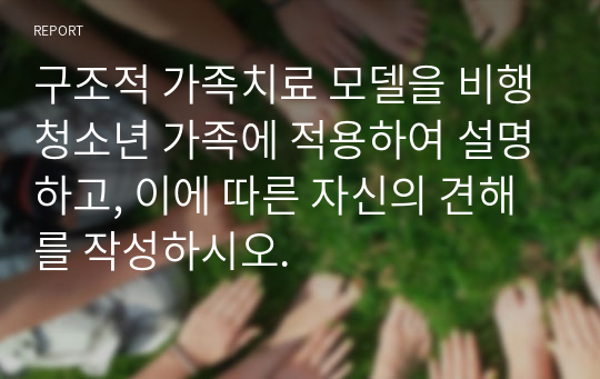 구조적 가족치료 모델을 비행청소년 가족에 적용하여 설명하고, 이에 따른 자신의 견해를 작성하시오.