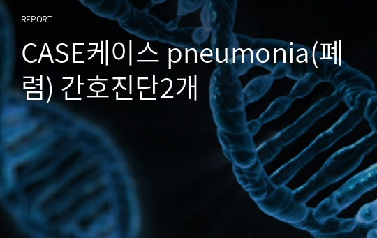 CASE케이스 pneumonia(폐렴) 간호진단2개