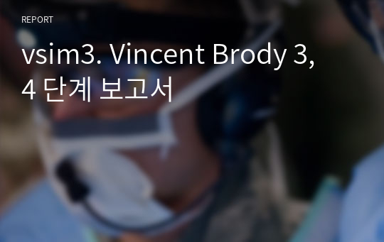 vsim3. Vincent Brody 3, 4 단계 보고서