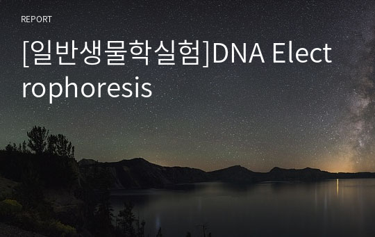 [일반생물학실험]DNA Electrophoresis