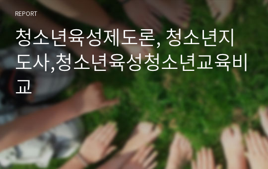 청소년육성제도론, 청소년지도사,청소년육성청소년교육비교