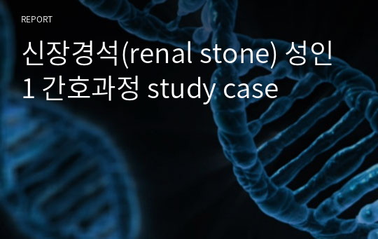 신장결석(renal stone) 성인1 간호과정 study case