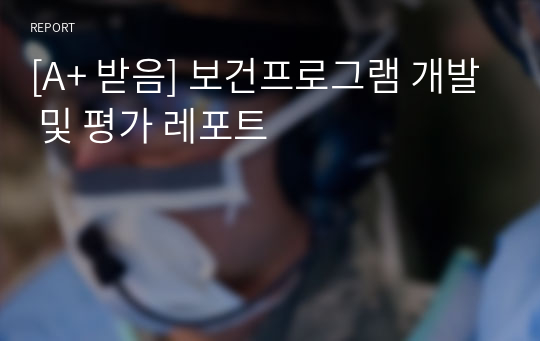 [A+ 받음] 보건프로그램 개발 및 평가 레포트