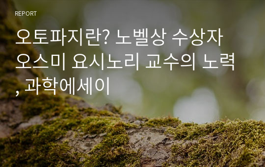 오토파지란? 노벨상 수상자 오스미 요시노리 교수의 노력, 과학에세이