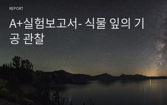 A+실험보고서- 식물 잎의 기공 관찰