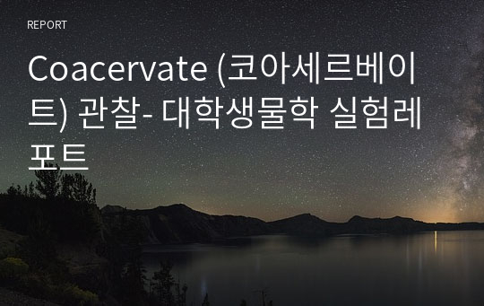 Coacervate (코아세르베이트) 관찰- 대학생물학 실험레포트