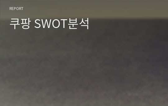 쿠팡 SWOT분석