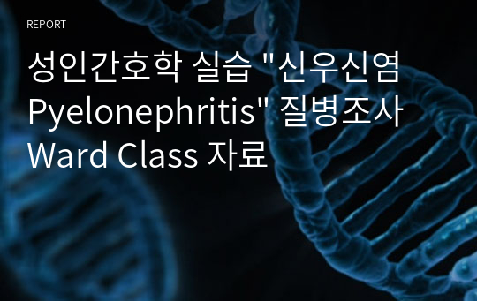 성인간호학 실습 &quot;신우신염 Pyelonephritis&quot; 질병조사 Ward Class 자료