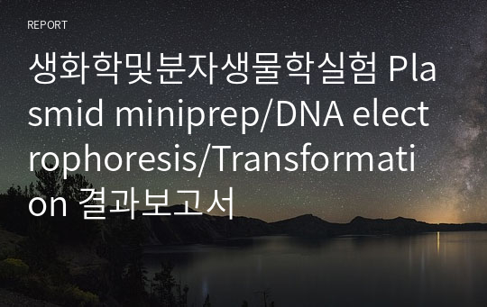 생화학및분자생물학실험 Plasmid miniprep/DNA electrophoresis/Transformation 결과보고서