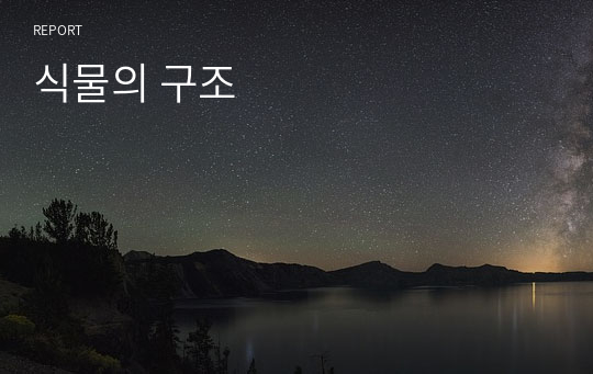 식물의 구조