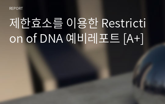 제한효소를 이용한 Restriction of DNA 예비레포트 [A+]