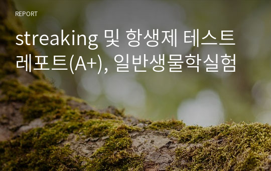 streaking 및 항생제 테스트 레포트(A+), 일반생물학실험