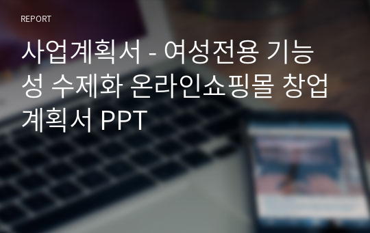 사업계획서 - 여성전용 기능성 수제화 온라인쇼핑몰 창업계획서 PPT